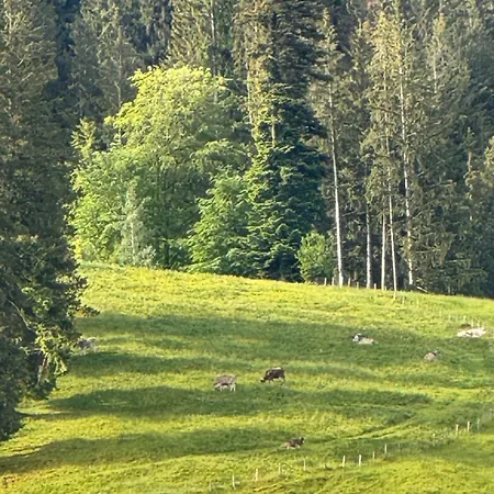 Shaeusl - Bergblick, Tv, Wlan Apartman Weitnau