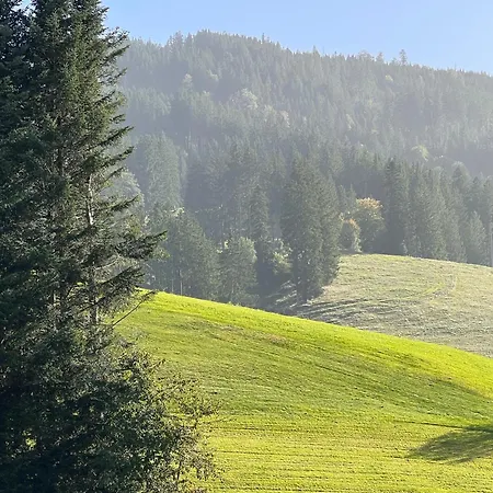 Shaeusl - Bergblick, Tv, Wlan Apartman Weitnau