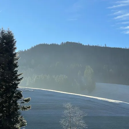 Shaeusl - Bergblick, Tv, Wlan Weitnau